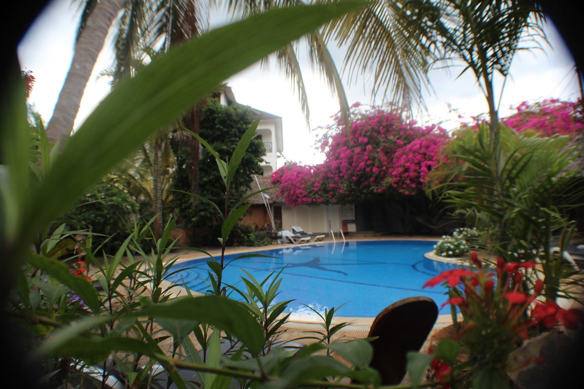Langi Langi Beach Bungalows Nungwi Zewnętrze zdjęcie
