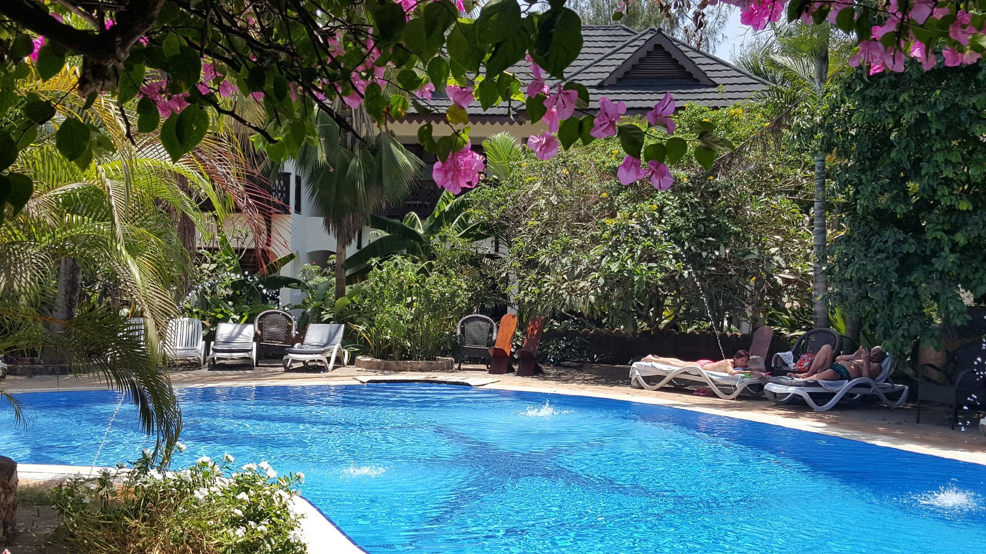 Langi Langi Beach Bungalows Nungwi Zewnętrze zdjęcie